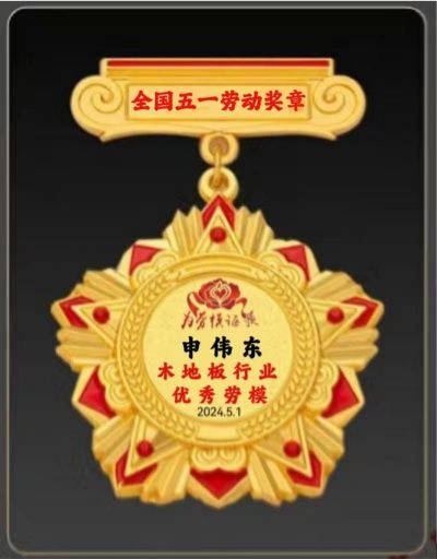 木地板優(yōu)秀行業(yè)優(yōu)秀勞?！陚|